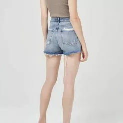 AGOLDE New Dee Vintage High Rise Shorts In Turmoil