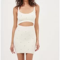 ASTR The Label Tea Party Skirt