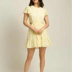 Show Me Your Mumu Merritt Mini Dress New