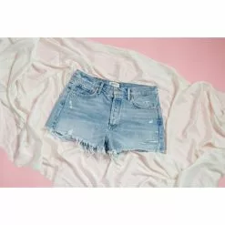 AGOLDE Parker Cut Off Shorts In Swapmeet New