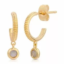 Elizabeth Stone New Eclectic Gem Mini Hoops - Labradorite