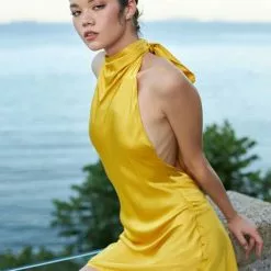 Sau Lee Penny Dress New