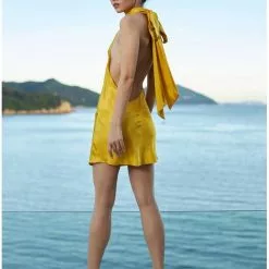 Sau Lee Penny Dress New